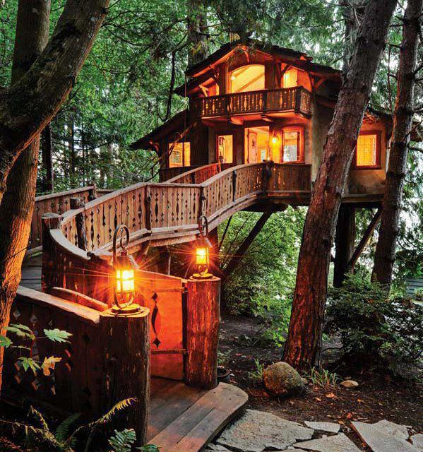 Tree House