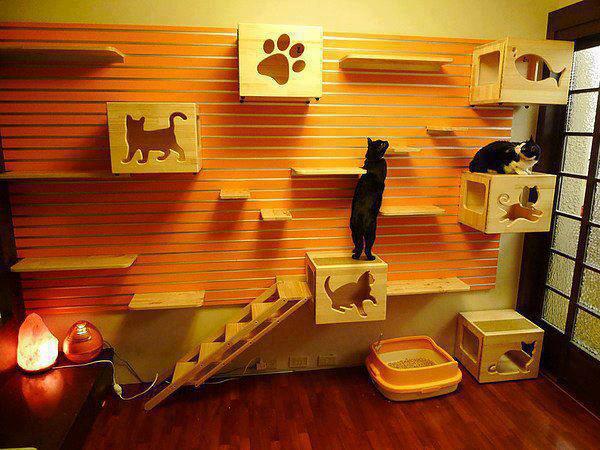 Creative-Decor-for-cats-1.jpg