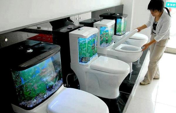 Fantastic Aquarium Design on Toilet Tank | Home Design, Garden 