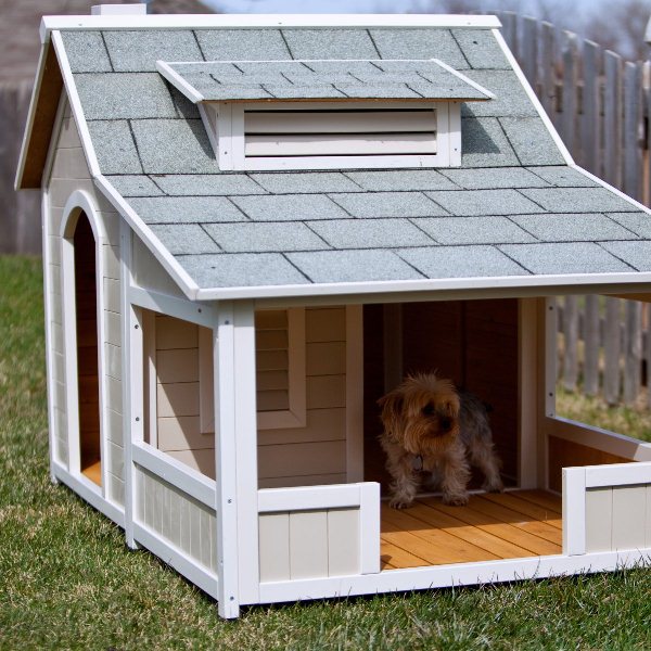 DogS House