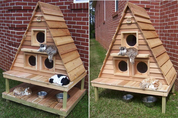 Outdoor Cat House