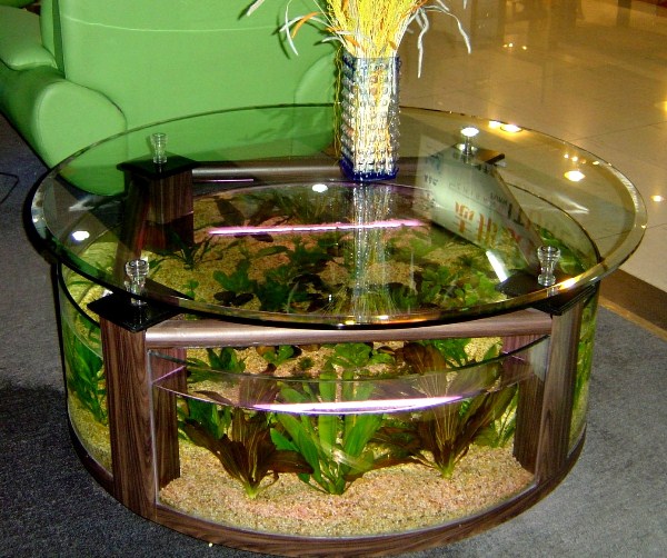ebb tide bottle I agree to Aquarium Furniture: Creative Coffee Table Aquarium