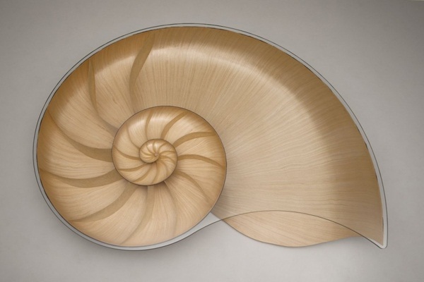 Nautilus-Table-by-Marc-Fish-6
