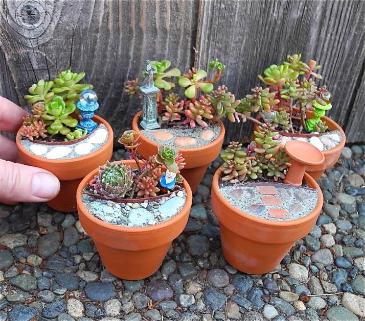 indoor miniature garden plants