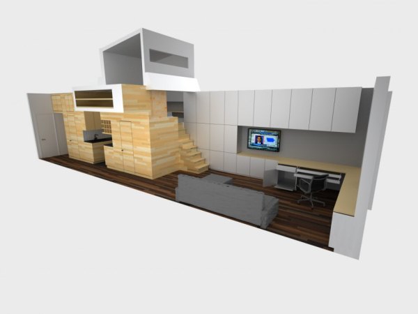 apartment-ingenious-storage-solutions-plan