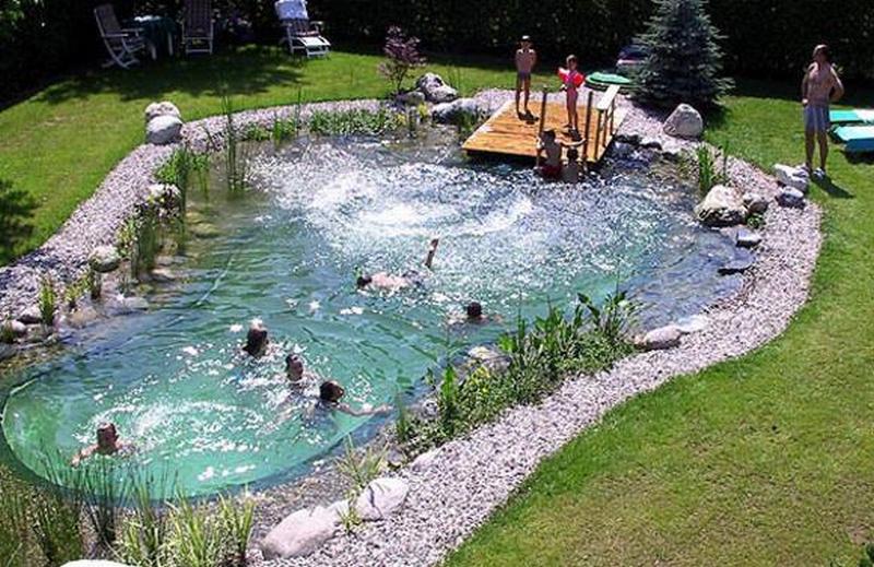 Natural-Swimming-Pond