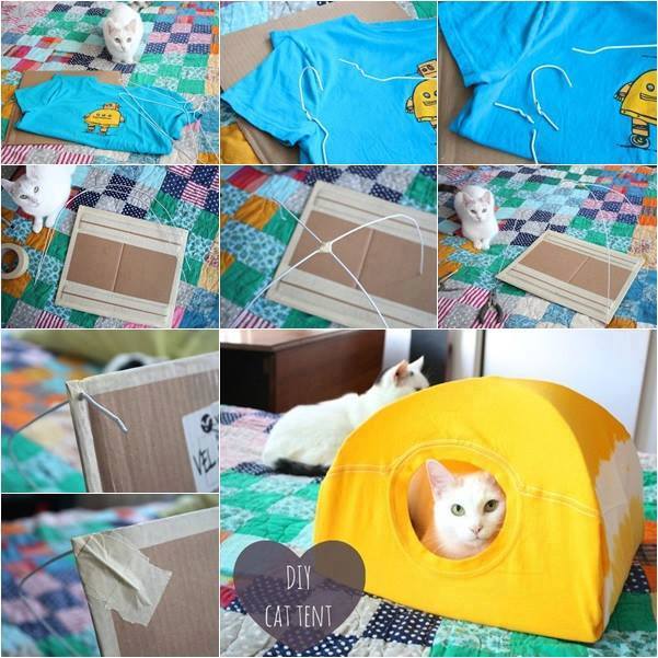 cat-tent-5