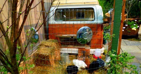 VW-bus-mobile-chicken-coop