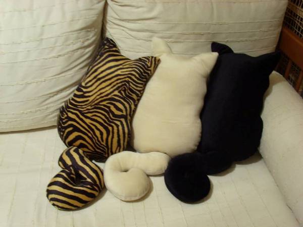 Cat-looking-Pillows