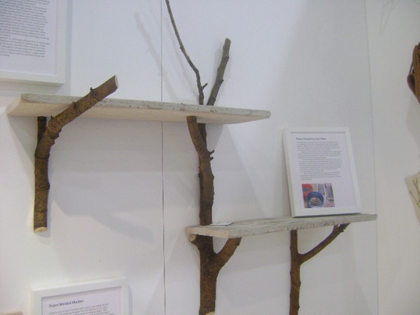 tree-branch-decorations-shelf