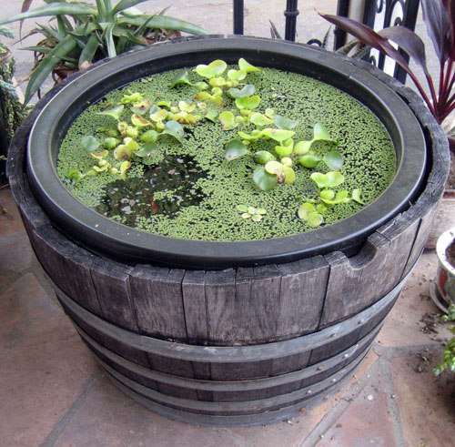 DIY-Containers-Garden-Pond-111