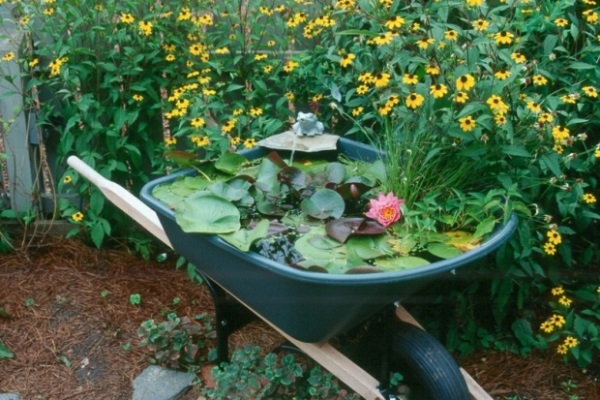 DIY-Containers-Garden-Pond-9