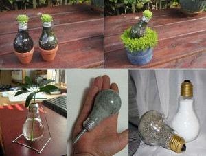 DIY Light Bulb Planter