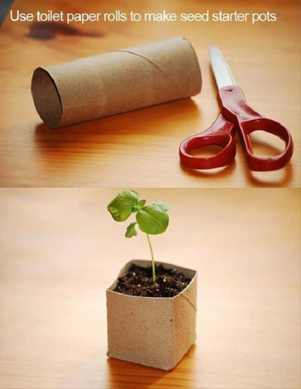 toilet-roll-planter