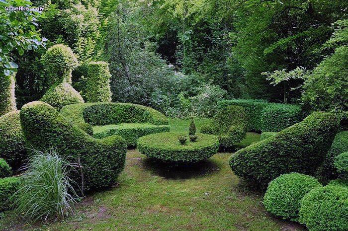 Hedge-Garden-Design
