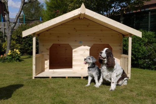 double-dog-house-2