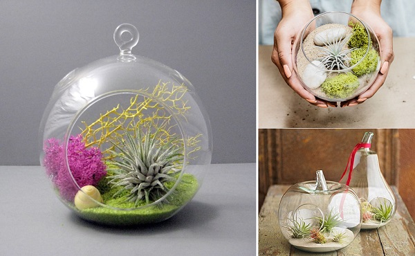 mini-air-plant-terrarium-11