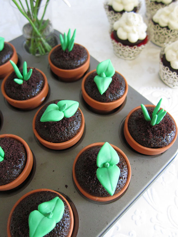 17-plants-cupcakes