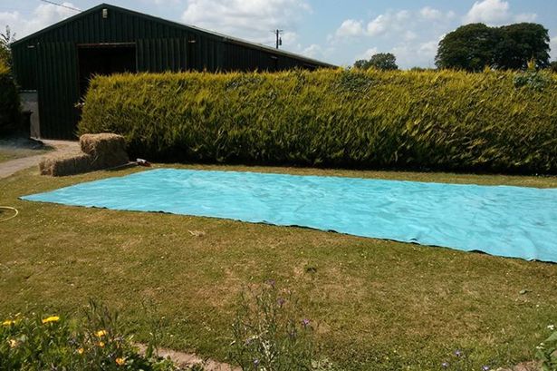 bale-hay-swimming-pool-1