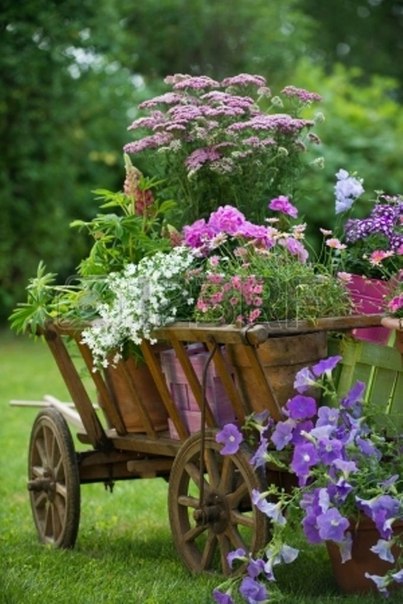 wheelbarrow-planter-3