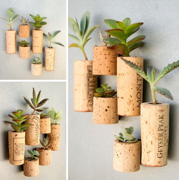 Cork-planters