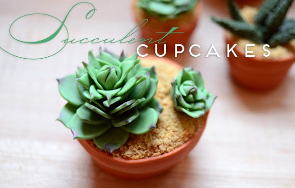succulent-cupcakes-1