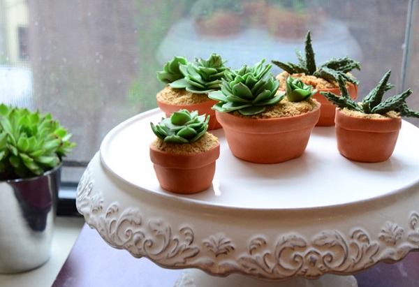 succulent-cupcakes-5