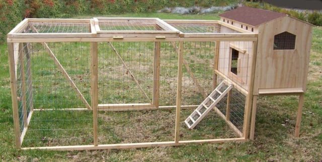 Chicken-Coop-Projects-22