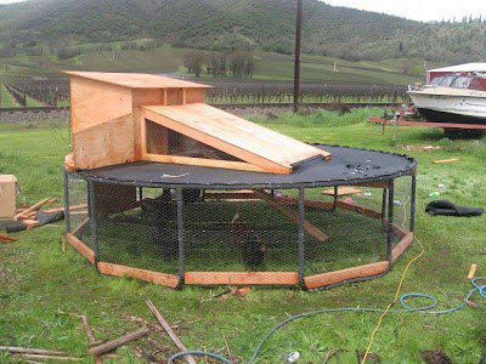 Simple-Chicken-Coops-Pictures-1