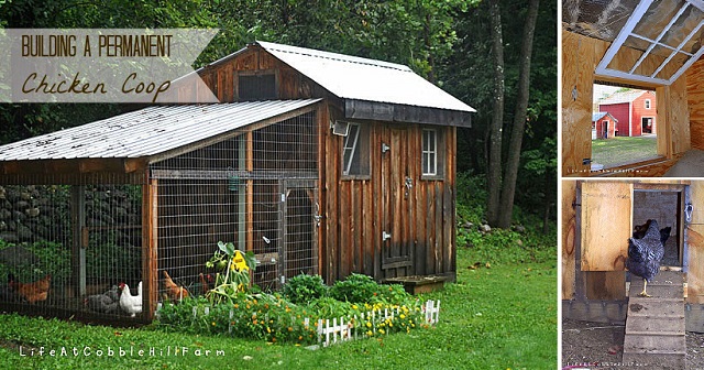 building-a-chicken-coop