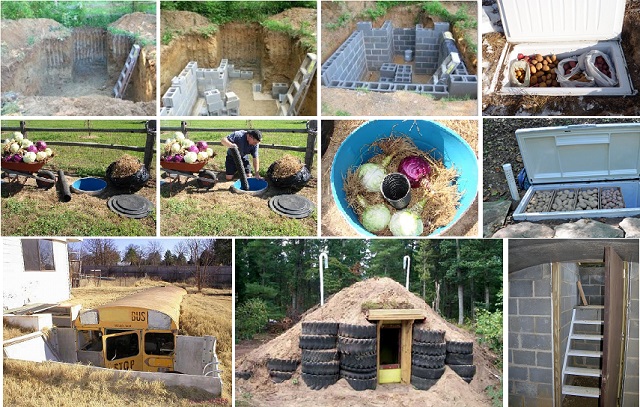 how-to-build-a-root-cellar