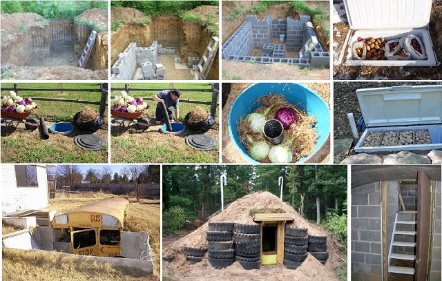 Exemplary Info About How To Build Root Cellar - Partnershipcopy26