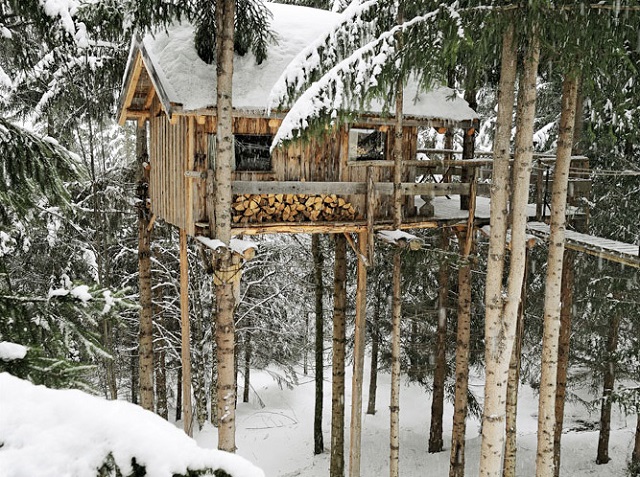 treehouse-home-design-1