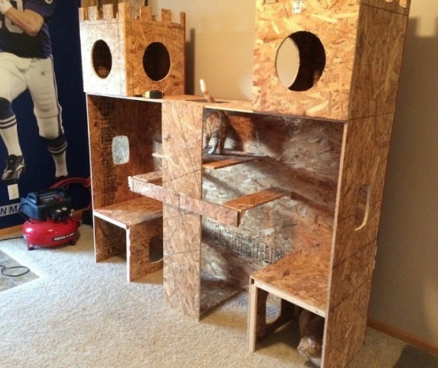 Plywood-Cat Castle-2