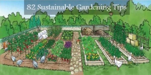 82 Sustainable Gardening Tips | Home Design, Garden & Architecture Blog ...