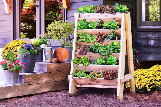 vertical-lettuce-planter-home-design