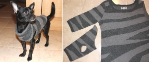 DIY Chic Dog Sweater | Home Design, Garden & Architecture Blog Magazine