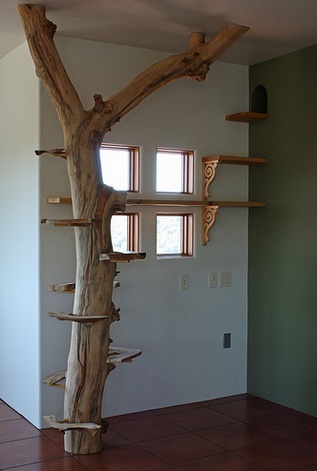 indoor-cat-tree