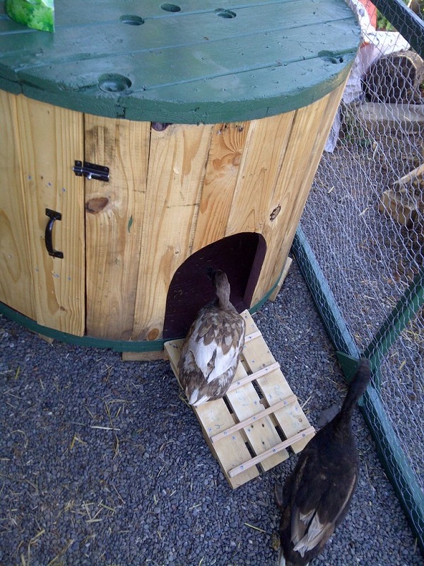 DIY-Cable-Spool-Duck-House-3