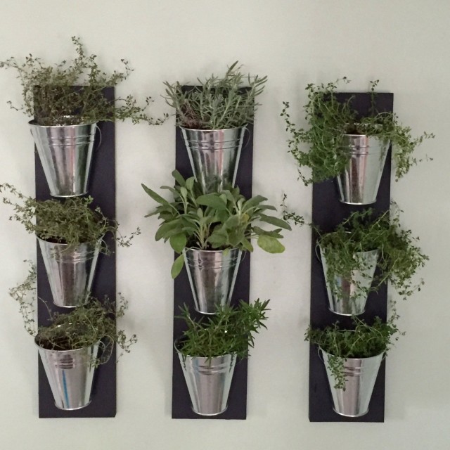 small_herb_wall-indoor