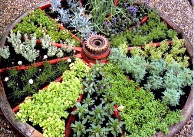 wheel-herb-garden