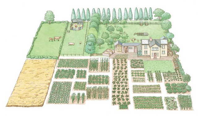 learn-how-to-create-your-own-1-acre-self-sustaining-homestead-home