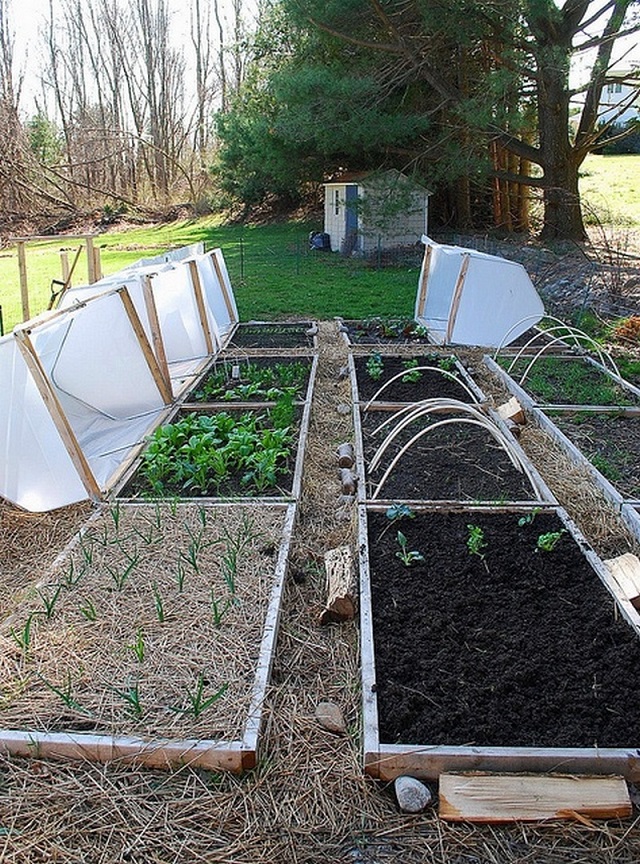 Raised-Bed-Cover-12