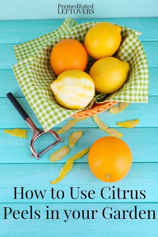 How-to-use-Citrus-Peels-in-your-Garden