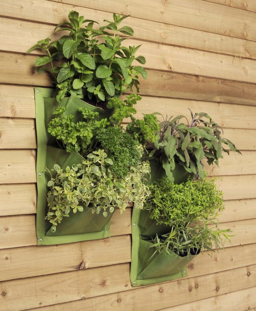 Amazing Salad Vertical Gardens | Home Design, Garden & Architecture ...