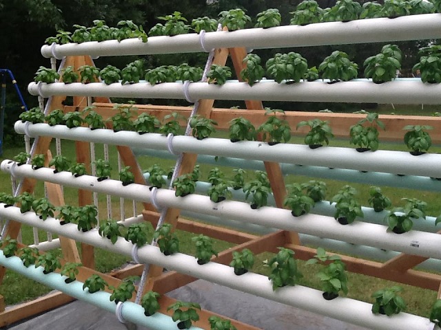 vertical-hydroponic-system-7