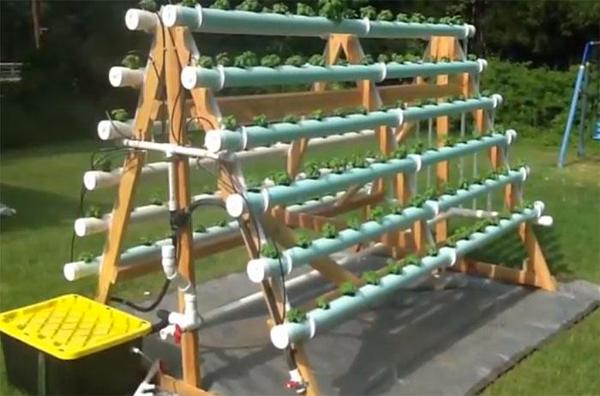 Vertical Hydroponic System 