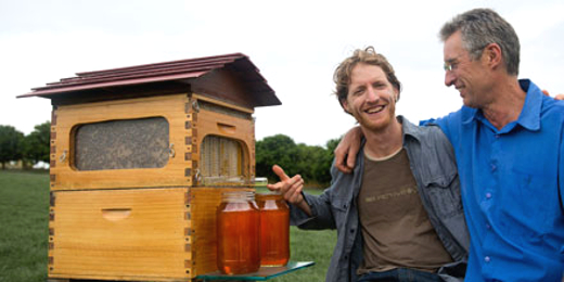 Honey-on-Tap-Directly-From-Your-Beehive-3