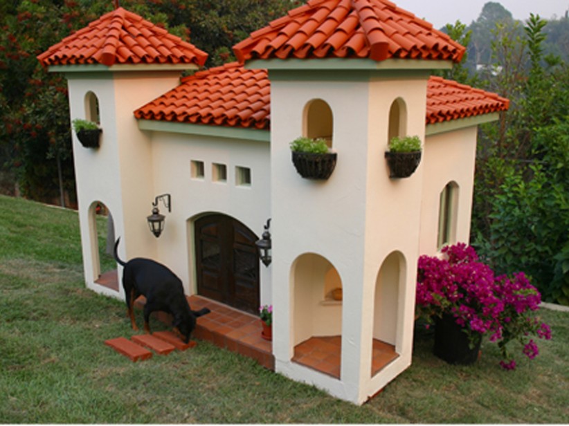 amazing-dog-house-4