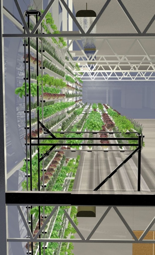 First-Vertical-Farms-4